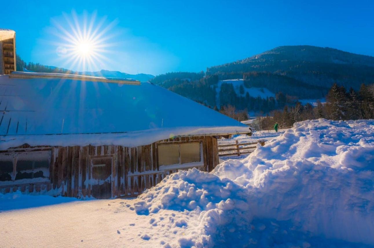Erbhof Hinterrain Villa Leogang Exteriör bild