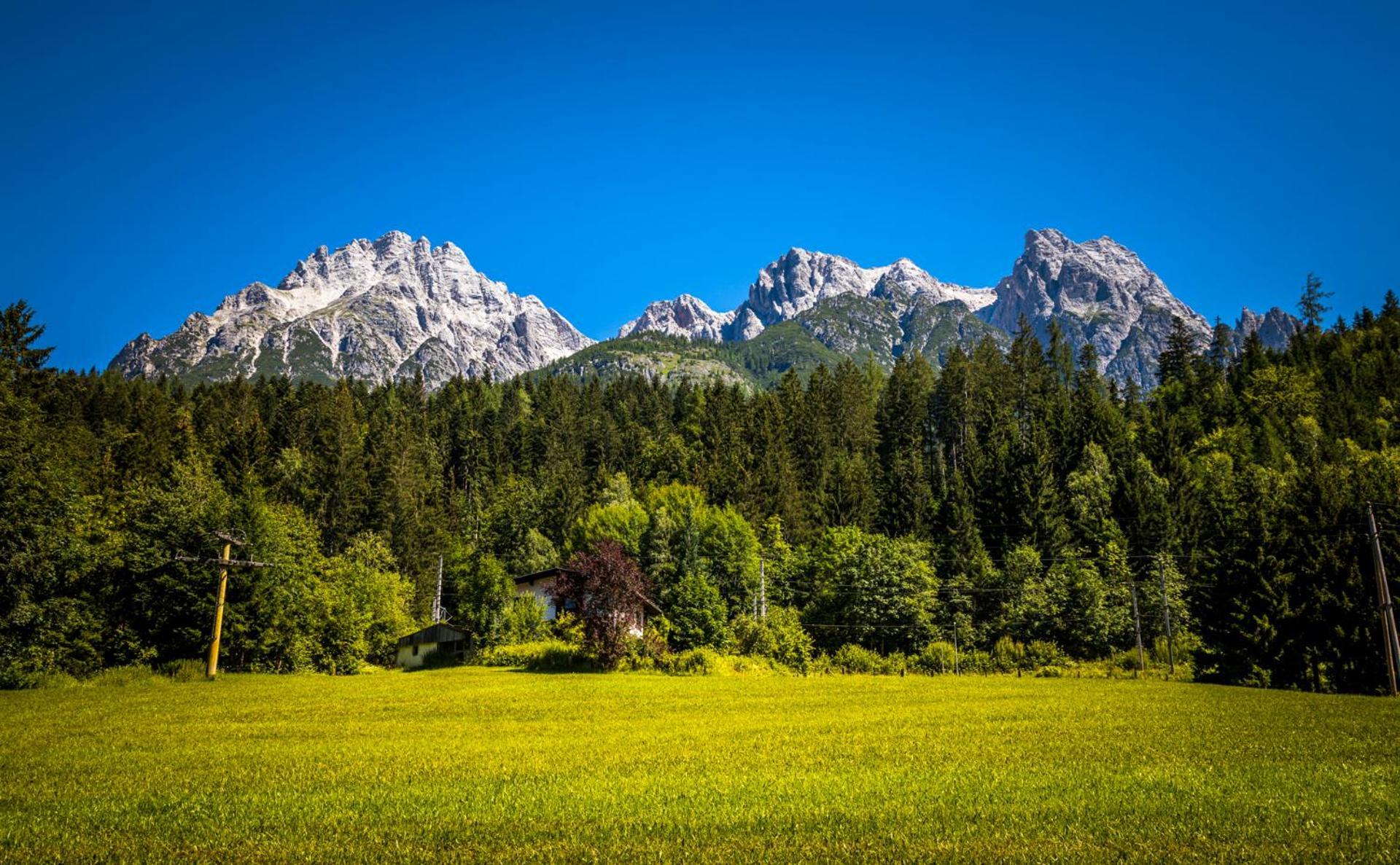 Erbhof Hinterrain Villa Leogang Exteriör bild