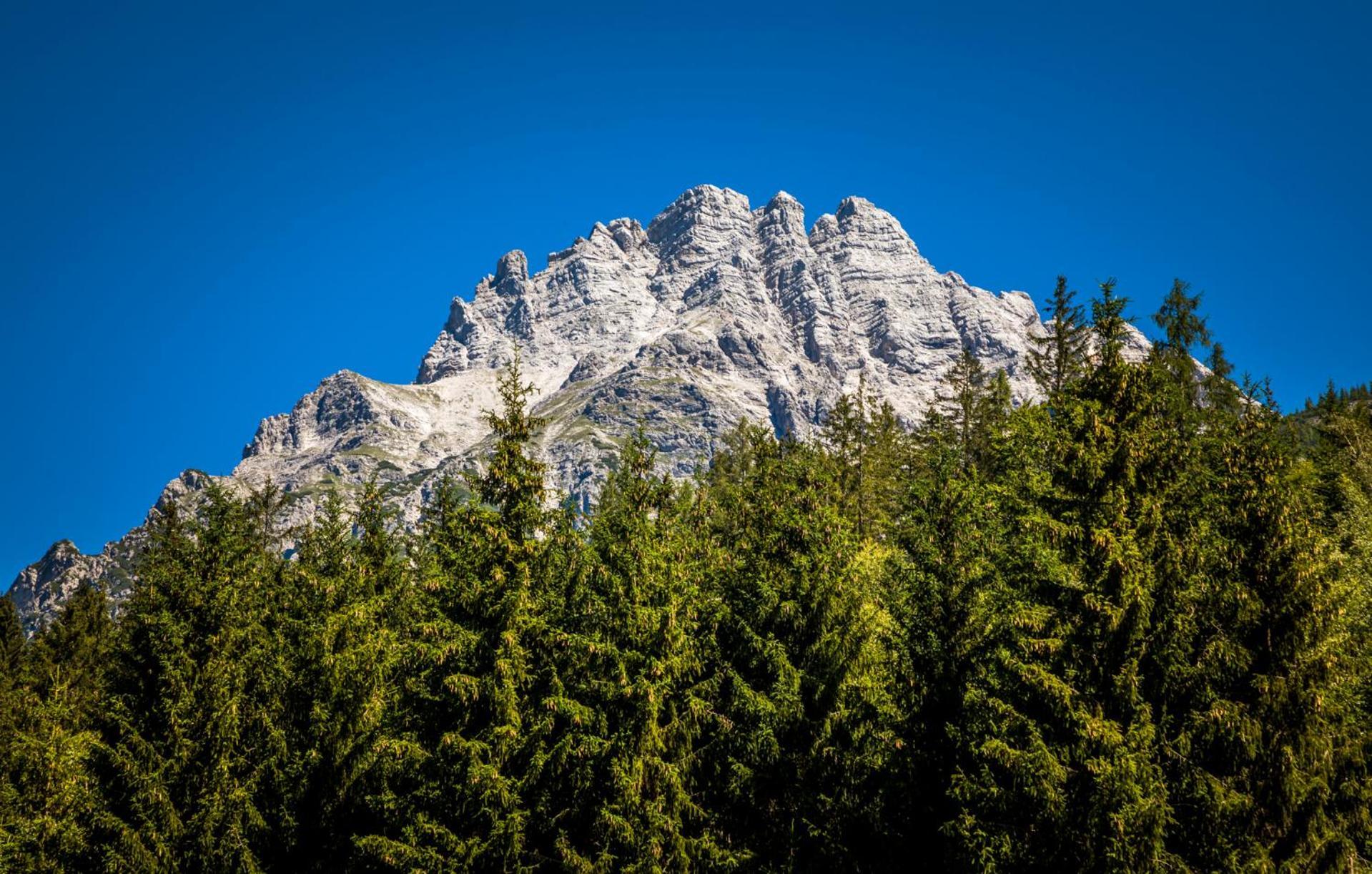 Erbhof Hinterrain Villa Leogang Exteriör bild