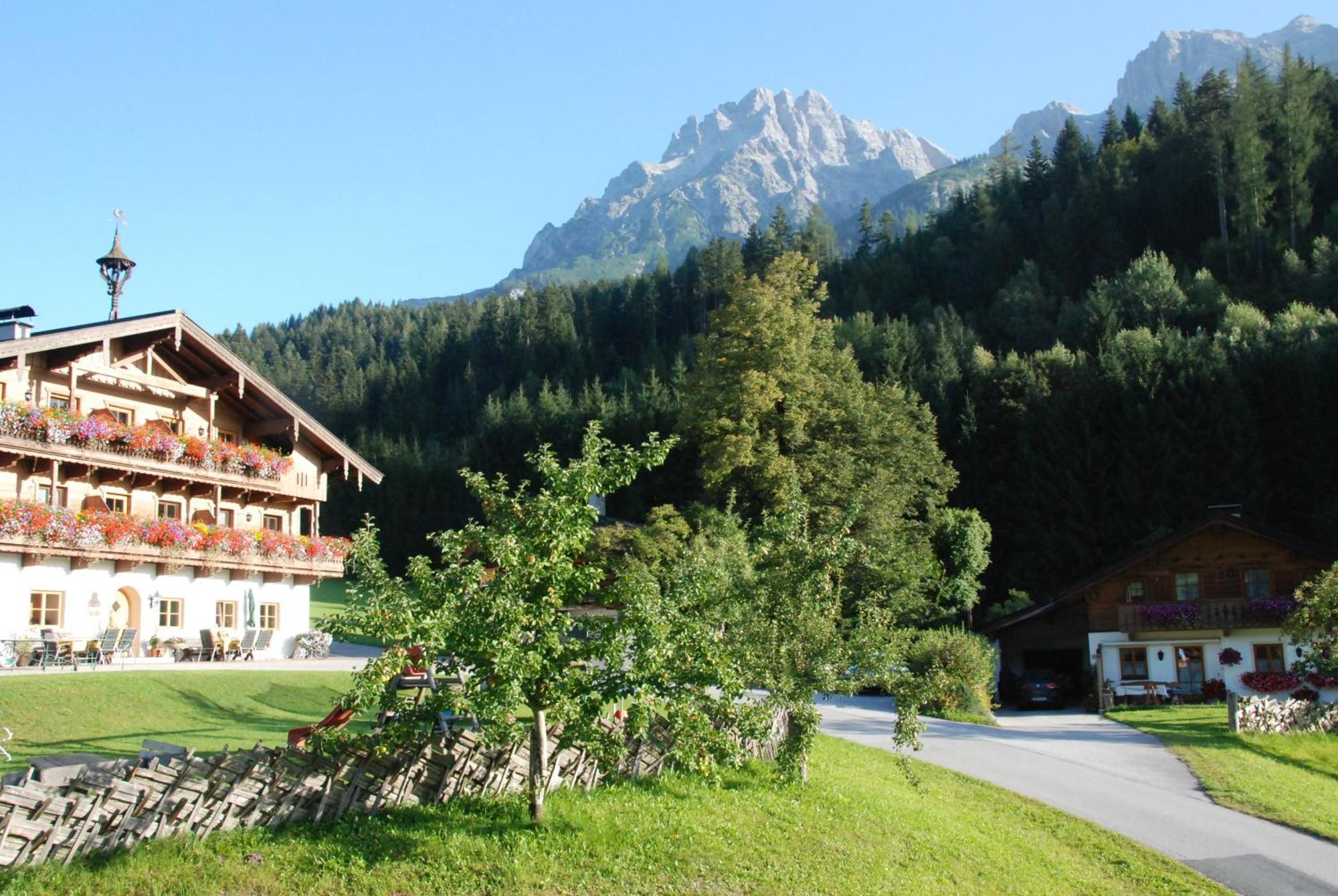 Erbhof Hinterrain Villa Leogang Exteriör bild